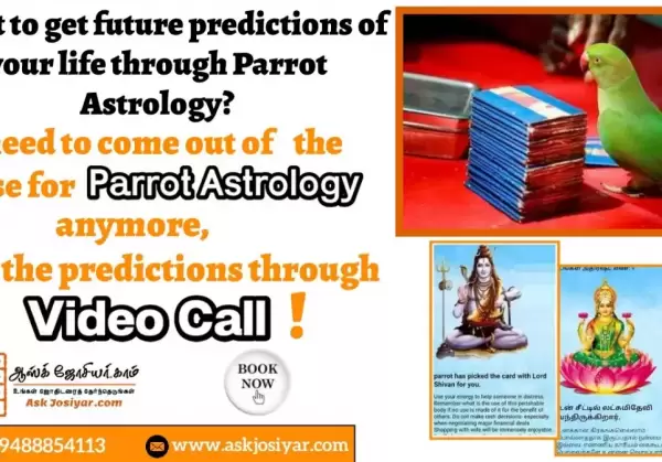 Parrot astrology (kili Josiyam)