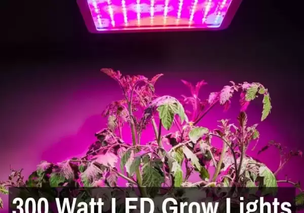 LED Plant (Grow) light 300W 