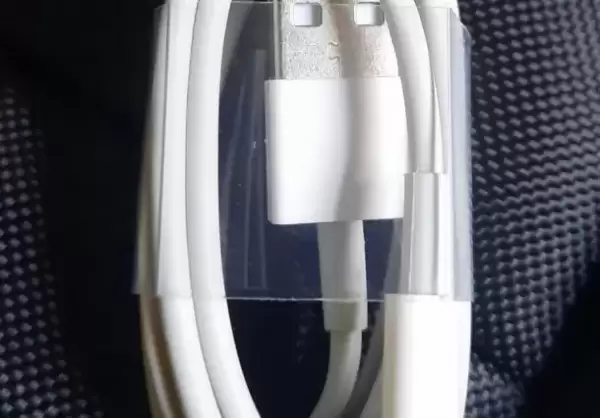 Apple data cable