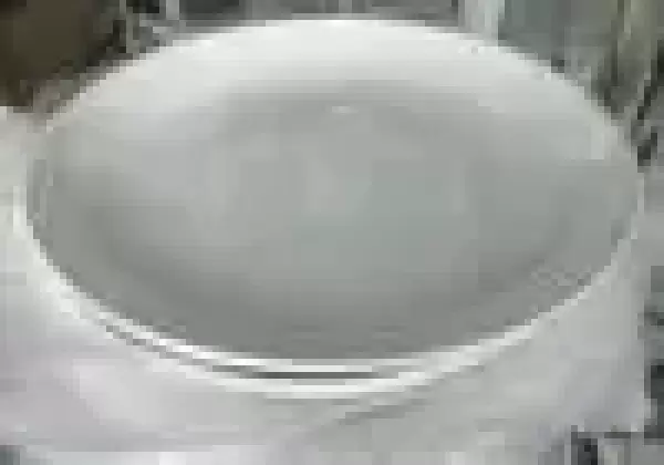 Porcelain Plate 10.5inches White Type 4