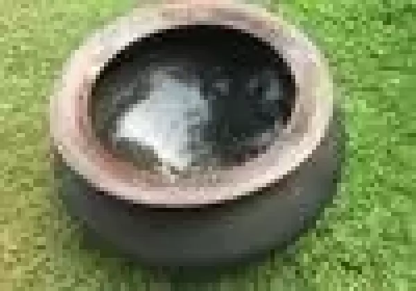 Copper Antique pot