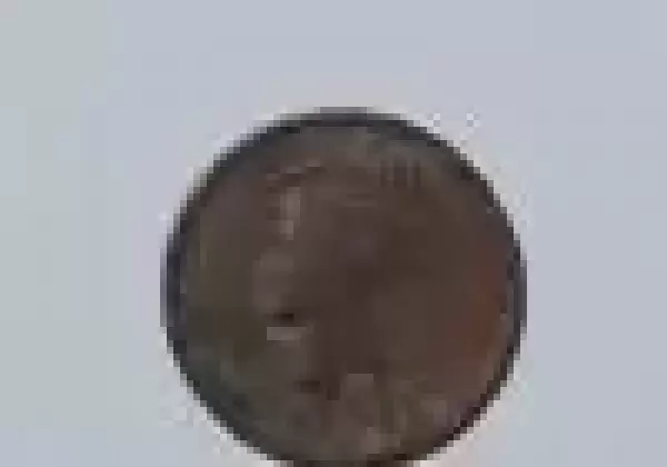 Old coin(1895)
