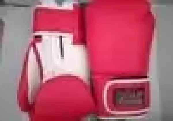 Boxing glove- Dipak supreme