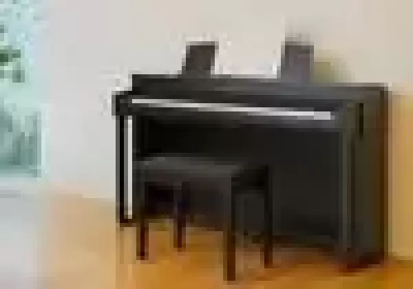 Kawai Digital Piano CN29
