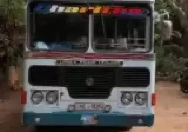 Ashok-Leyland Viking 2014 Bus Registered (Used)