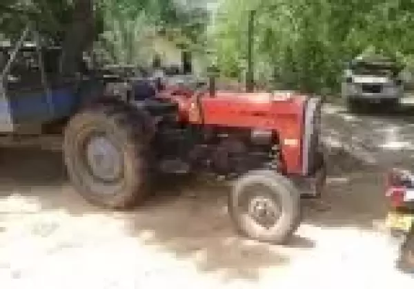 TAFE 45 2004 Tractor Registered (Used)