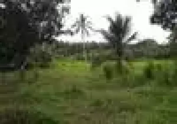 520p Land For Sale In Kottawa