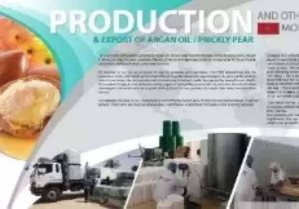 Best Moroccan culinary Argan Oil Production 